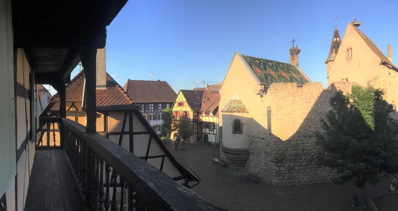 Duplex Saint Lustre, View Over Castle And Storks, 5 Mn From Colmar Eguisheim Exteriér fotografie
